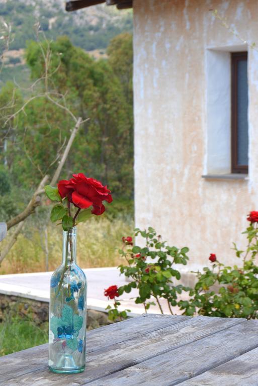 Agriturismo Rubinu Galtellì الغرفة الصورة