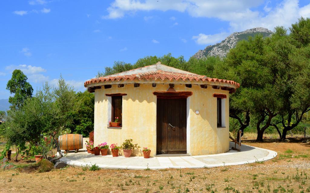 Agriturismo Rubinu Galtellì الغرفة الصورة