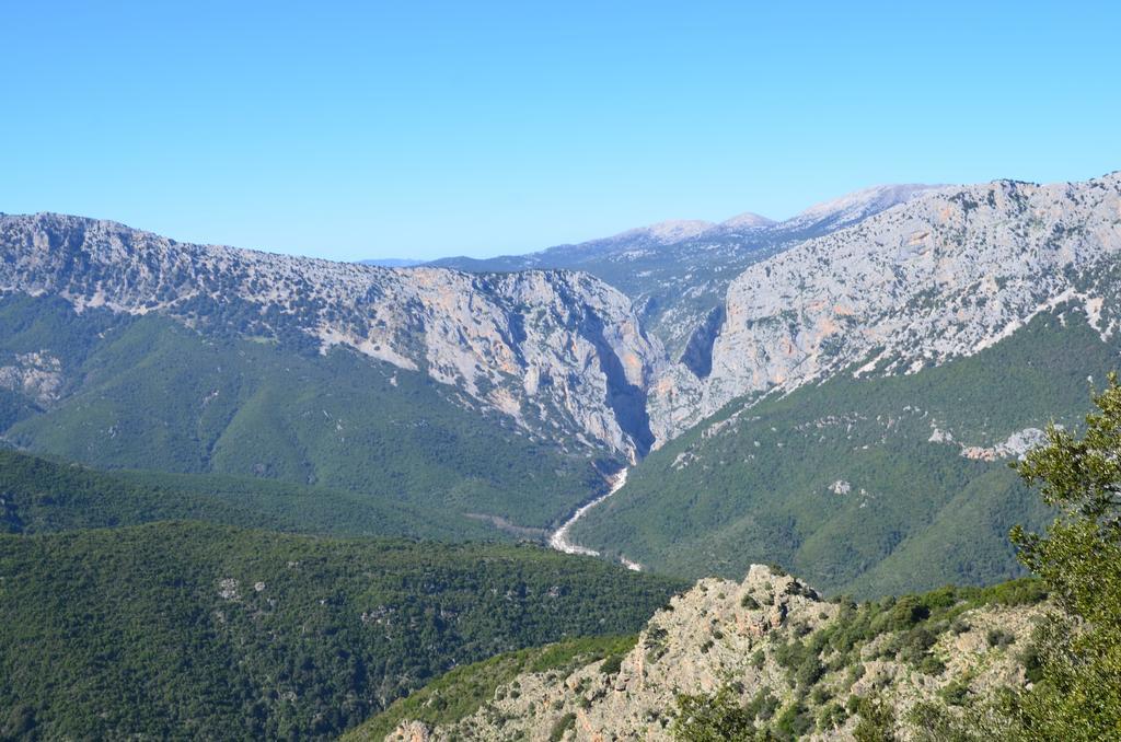 Agriturismo Rubinu Galtellì المظهر الخارجي الصورة